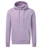 Anthem Organic Hoodie AM001
