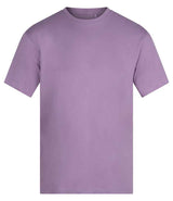Anthem Unisex Organic Midweight T-Shirt AM012