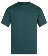 Anthem Unisex Organic Midweight T-Shirt AM012