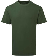 Anthem Unisex Organic Heavyweight T-Shirt AM015