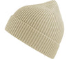 Atlantis Andy Recycled Polyester Acrylic Beanie ACANDB