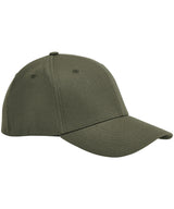 Beechfield EarthAware® organic cotton stretch-fit cap BC803