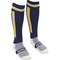 Navy/Gold