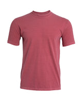 Comfort Colors Heavyweight Adult T-Shirt CO100