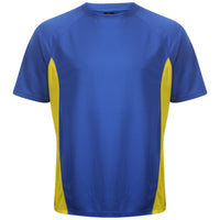 Royal/Yellow
