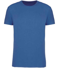 Light Royal Blue