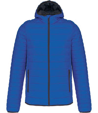 Light Royal Blue