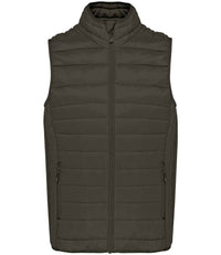 Dark Khaki