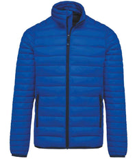 Light Royal Blue