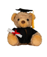 Mumbles Graduation bear MM036