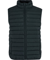 New Morning Studios - Women’s light puffer vest