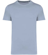 Native Spirit Unisex Heavyweight T-Shirt NS305