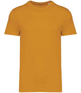 Native Spirit Unisex Heavyweight T-Shirt NS305