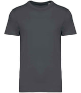 Native Spirit Unisex Heavyweight T-Shirt NS305