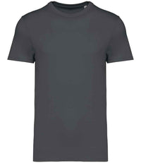 Iron Grey