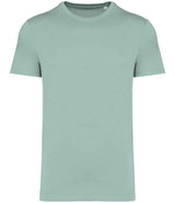 Native Spirit Unisex Heavyweight T-Shirt NS305