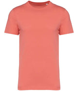Native Spirit Unisex Heavyweight T-Shirt NS305