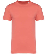 Light Coral