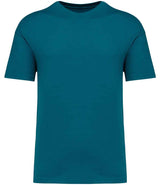Native Spirit Unisex Oversized T-Shirt NS330