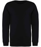 Native Spirit Kids Crew Neck Sweatshirt NS403