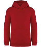 Native Spirit Kids Hooded Sweatshirt NS404