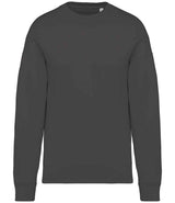Native Spirit Unisex Oversized Sweatshirt NS407
