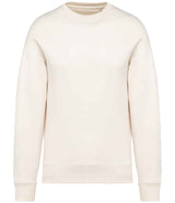 Native Spirit Unisex Oversized Sweatshirt NS407