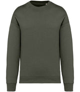 Native Spirit Unisex Oversized Sweatshirt NS407