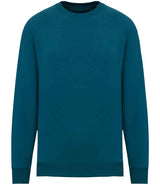 Native Spirit Unisex Oversized Sweatshirt NS407