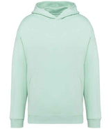 Native Spirit Unisex Oversized Hoodie NS408