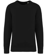 Native Spirit Unisex Terry 280 Sweatshirt NS414