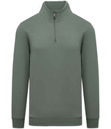 Native Spirit 1/4 Zip Sweatshirt NS428