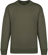 Native Spirit Unisex Oversized Sweatshirt NS440