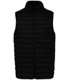 Native Spirit Light Recycled Bodywarmer NS6005