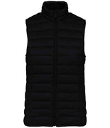 Native Spirit Ladies Light Recycled Bodywarmer NS6006