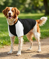 Portman & Pooch - Dog’s raglan t-shirt