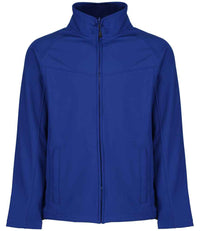 New Royal Blue