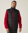Regatta Navigate Thermal Bodywarmer RG445