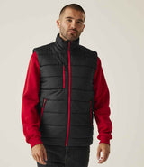Regatta Navigate Thermal Bodywarmer RG445