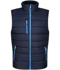 Navy/French Blue