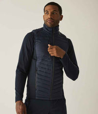 Navy/Seal Grey