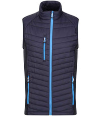 Navy/French Blue
