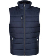 Regatta Navigate Two Layer Soft Shell Bodywarmer RG455