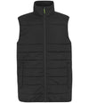 Regatta Essential Thermal Bodywarmer RG652