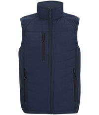 Navy/Ash