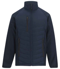 Navy/Ash