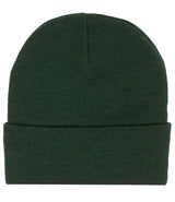 Pro RTX Pro Beanie RX290