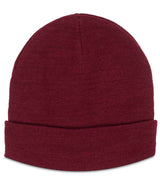 Pro RTX Pro Beanie RX290