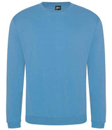 Pro RTX Pro Sweatshirt RX301
