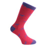 Dog Socks – Red & Blue Combed Cotton by Dalaco